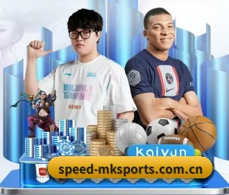 mk体育 APP